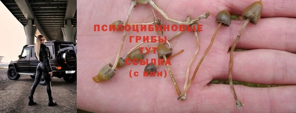 дурь Ельня