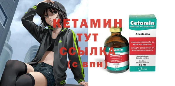 мет Дмитров
