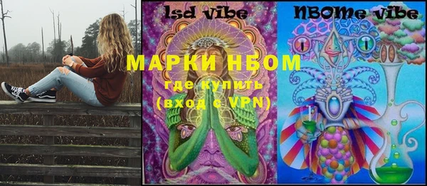 дурь Ельня