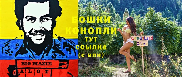 дурь Елизово