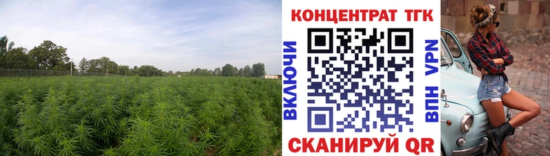 ТГК концентрат  Заволжск 